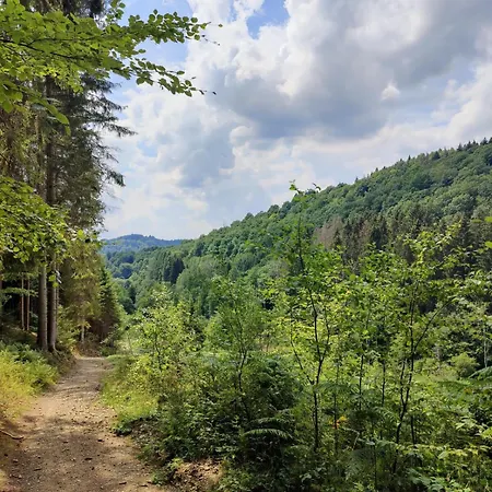 Vakantiewoning Sunset Samree * La Roche-en-Ardenne