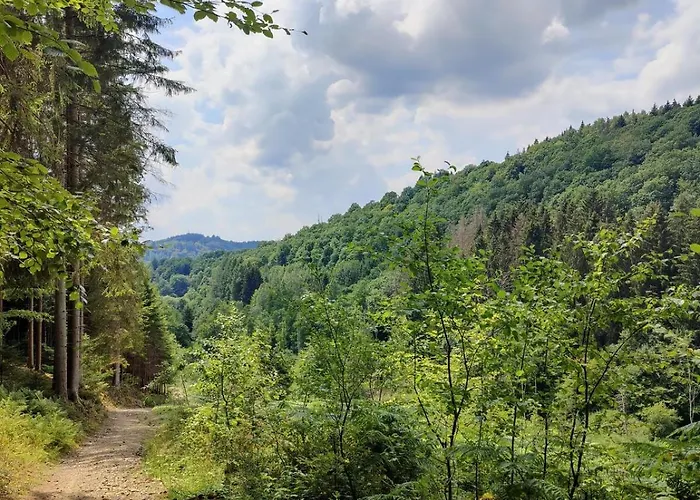 Vakantiewoning Sunset Samrée * La-Roche-en-Ardenne
