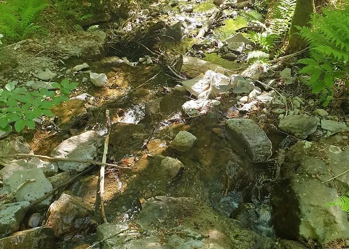 Vakantiewoning Sunset Samrée